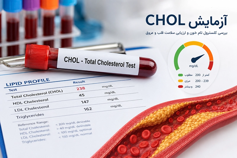 آزمایش CHOL چیست؟ شرایط، تفسیر و محدوده نرمال کلسترول