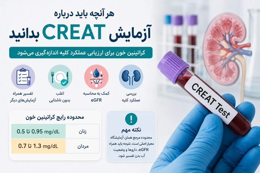 آزمایش CREAT چیست؟ تفسیر کراتینین بالا و پایین