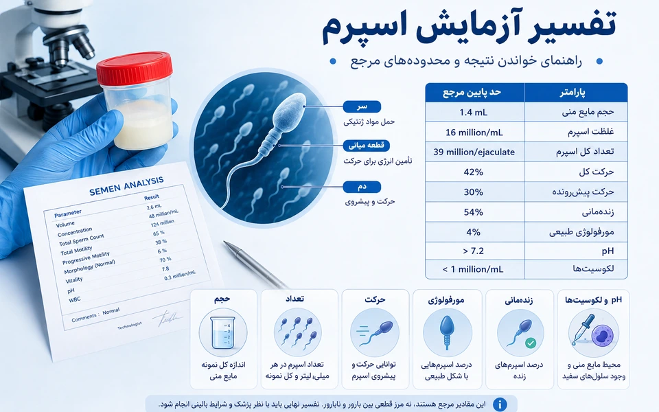 تفسیر آزمایش اسپرم؛ معنی تعداد، حرکت و مورفولوژی
