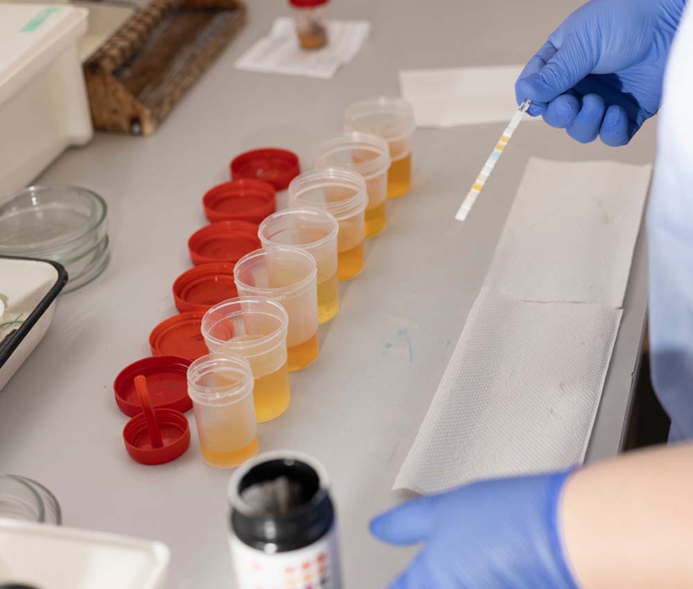 analysis-in-a-medical-laboratory