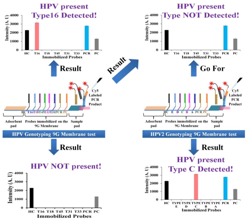تفسیر آزمایش HPV
